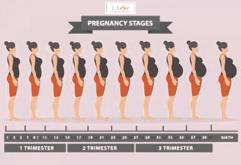 First Trimester (Weeks 1–12): Early Changes You Might Not Notice Salisbury